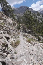 tratto expo da fare bici al fianco