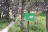 inizio del tratto in foresta