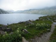 Sul fianco del Lago Lungo