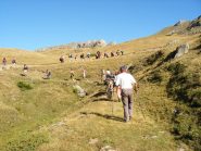 Proloco di Mendatica(Im)
