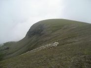 sommità (piatta) del monte Rascias