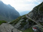 nella parte alta