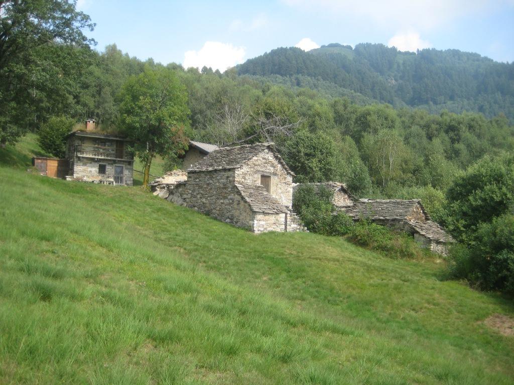 Alpe Aurelio con dietro la cima.