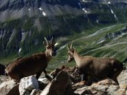 I padroni di casa ci invitano a partecipare