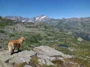 Laghi e testata della Val Grande