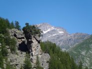 Bec Ceresin e Levanna