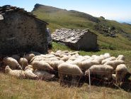 Alpe dei Rat