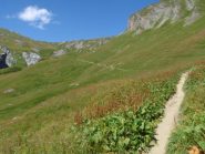 un particolare del sentiero verso valle