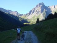 ingresso in valle