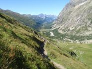 La Valle ferret