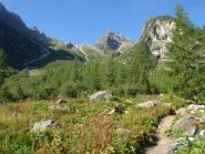 Vallata verso la Bovinette