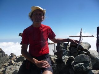 sulla Dante: come vento che le più alte cime più percuote