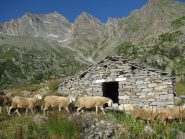 Alpe Trucco ed il Colle Perduto
