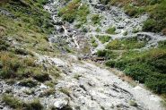 prima di qs ponticello, salire ripido a sx
