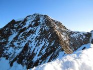 cresta sella
