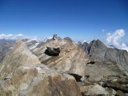 Ometto sulla parte finale della cresta