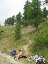 Il sentiero che si stacca dalla carrareccia per il col Clapier 