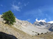 Il vallone da Batteria Alta