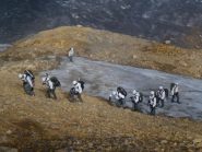 esercito francese in arrivo