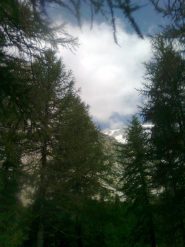 la vetta dalla val Ferret
