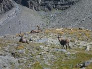 incontri ravvicinati....