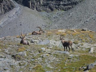 incontri ravvicinati....