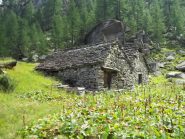 Alpe Corte Cerino