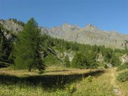 Pianoro in uscita dal primo tratto di bosco