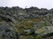 in vista della croce di vetta