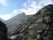 Da un'intaglio, il Piccolo Morion