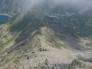 cresta di monciatil dal corno bianco