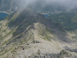 cresta di monciatil dal corno bianco