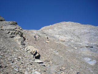 quasi al colletto ,la punta  è vicina....