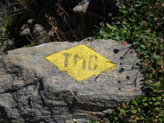 Il nostro compagno di viaggio