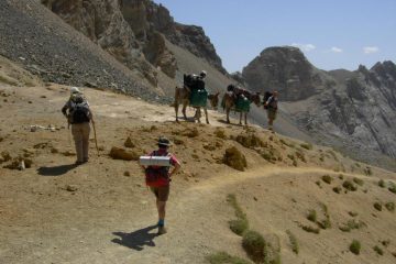 Transalpini in trekking con asinelli al colle