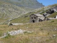 alpe du grand collet