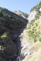 appena fuori dal bosco