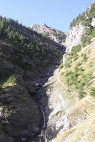 appena fuori dal bosco