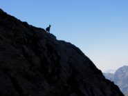 silhouette della padrona di casa, al 3° tiro...