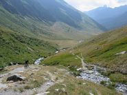 Discesa vallone di Soustra