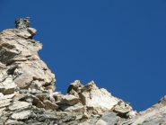 ometto al passo Calletta