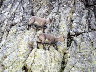 ...con i suoi cuccioli!