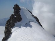 Corno Nero dalla Ludwig