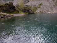  e poi bel diluvio al Fiorenza