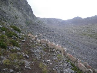 Là in fondo il passo del Bue e... la lunga processione