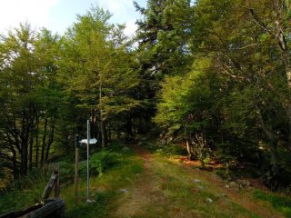 Alpe Cima e sentiero Natura
