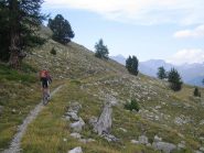 inizio del rientro verso lo sterrato per la discesa