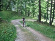 parte iniziale della salita su sterrato agevole