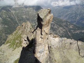 Il dente