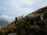 unico incontro oggi..